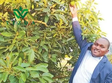 Uganda enerģiski attīsta bioloģisko lauksaimniecību