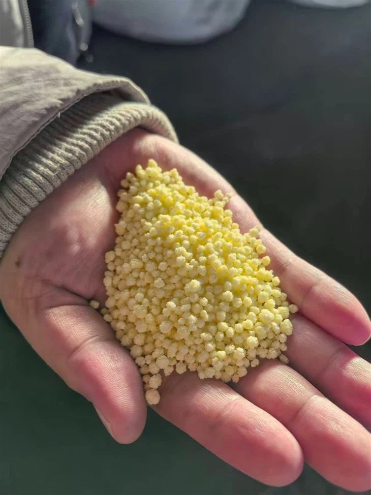 Calcium Magnesium Nitrate Fertilizer For Fruit Trees And Vegetables factory