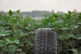 - Sezonas Crop Nutrition piedāvā elastību un rentabilitāti