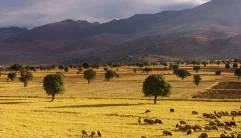 Cik daudz jūs zināt par lauksaimniecības produktu tirdzniecību starp Ķīnu un ...